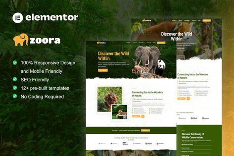 Zoo Website, About Us Page Design, Premium Website, Animal Conservation, Steel Art, Creative Icon, Travel Tours, Responsive Design, Website Templates