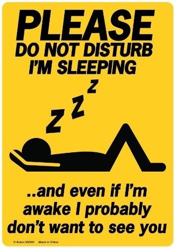 A sign to put on the door when you’re napping… or just don’t want to be bothered. | 27 Products That Say "Go Away" So You Don't Have To Funny Warning Signs, Don't Disturb, Dont Disturb, Don't Disturb Sign, Bedroom Door Signs, Funny Posters, Do Not Disturb, Room Signs, Hormone Balancing