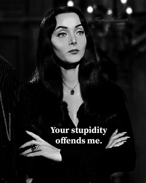 Sarcastic Women, Carolyn Jones, Morticia Addams, Funny True Quotes, Sarcastic Quotes Funny, Addams Family, Sarcastic Quotes, Bones Funny, The Truth