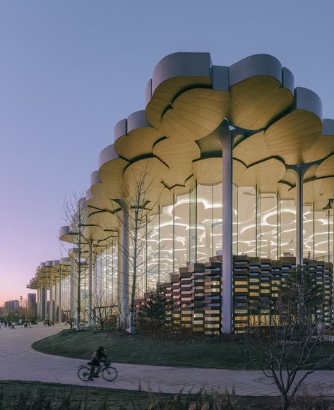 Beijing City Library – Snøhetta Beijing City, Far Rockaway, Library Pictures, City Library, Hills And Valleys, Urban Fabric, Rain Water Collection, Row House, Library Design