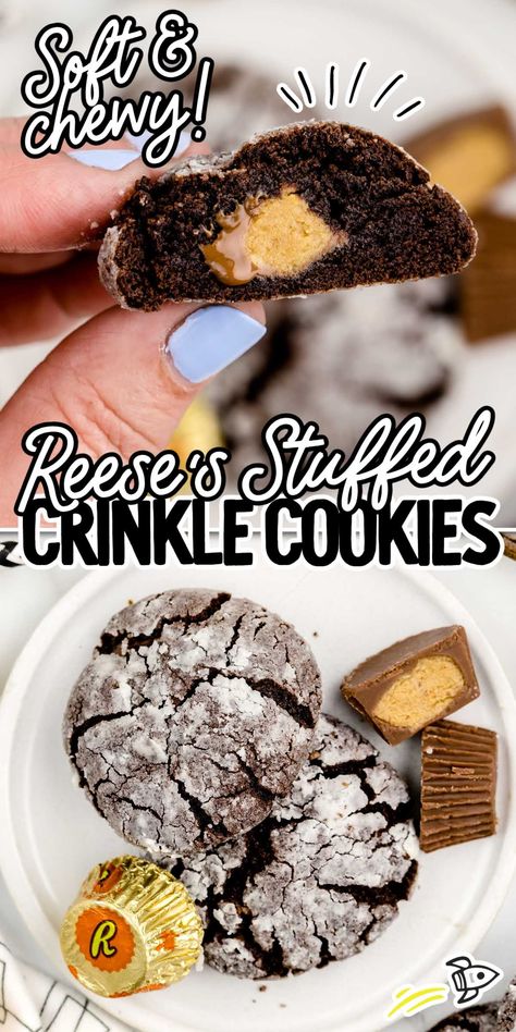 Indulge in the perfect blend of cocoa, peanut butter, and a hidden peanut butter cup surprise with our delectable Reese's crinkle cookies. Reese Crinkle Cookies, Reese’s Crinkle Cookies, Reeses Crinkle Cookies, Hidden Treasure Cookies, Reese’s Cup Cookies, Resses Peanut Butter Cup Cookies, Reese’s Cookies, Reese Cookies, Reese Recipes