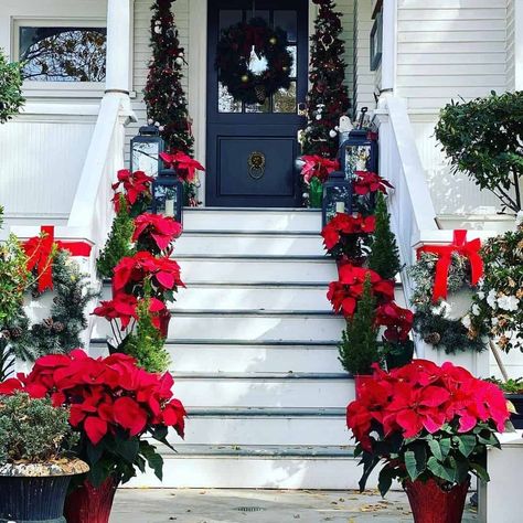 A festive porch design features red poinsettias and mini pine trees cascading down white stairs. Tall pencil pine trees flank either side of the front door. Black lantern lights are mounted at the top of the stairs and an evergreen wreath adorns the blue windowpane farmhouse front door...   Image: mrslaurennicholsen Lauren Nicholsen, Modern French Cottage, Front Porch Stairs, Pencil Pine, Modern Farmhouse Porch, White Rocking Chairs, Porch Stairs, Farmhouse Porch Decor, White Porch