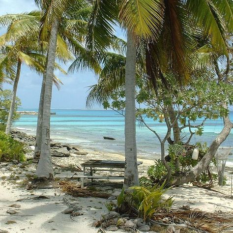 THE 10 BEST Things to Do in Marshall Islands - 2022 (with Photos) - Tripadvisor Marshal Island, Castle Bravo, Enemies To Lovers Romance, South Pacific Islands, What To Do Today, Oceania Travel, Lovers Romance, World Countries, To Do Today