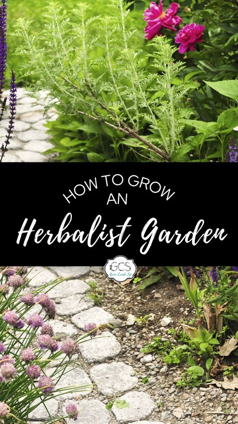 Medicinal Cottage Garden, Herbal Medicine Garden Layout, Herbal Garden Design Landscapes, Medicinal Herb Garden Layout Raised Beds, Medicinal Herbs For Beginners, Herbal Flower Garden, Herbal Tea Garden Design, Herbalist Garden Design, Herbal Garden Layout