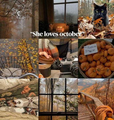 #fall #october #fallvibes #autumn Fall October, Fall Aesthetic, Fall Vibes, Love Her, Pins