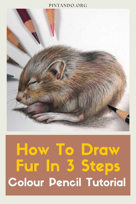 Unlock the secrets of realistic fur in just three steps! Dive into our latest tutorial, "How To Draw Fur In 3 Steps," and elevate your art game to new heights. Perfect for both seasoned artists and aspiring creators, this color pencil tutorial is your key to bringing life and texture to your drawings. Grab your favorite pencils and join us on a journey into the world of lifelike fur depiction. Your art is about to get a cozy upgrade! Join us as we explore the intricate art of rendering fur... Colour Pencil Tutorial, Color Pencil Tutorial, Basic Shading, Draw Fur, How To Draw Fur, Dog Drawing Tutorial, Pencil Tutorial, Face Proportions, Draw A Face