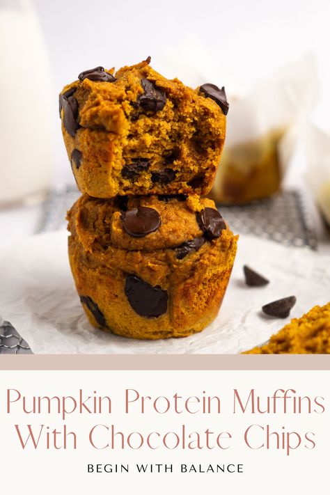 Healthy Pumpkin Chocolate Chip Muffins, Healthy Pumpkin Muffins, Pumpkin Protein Muffins, Best Pumpkin Muffins, Pumpkin Protein, Pumpkin Muffin Recipes, Pumpkin Chocolate Chip Muffins, Protein Muffins, Pumpkin Chocolate Chips