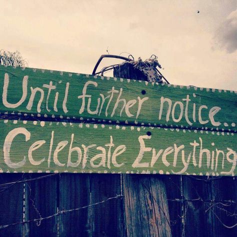 Celebrate~ Celebrate Everything, Have A Happy Day, Quotable Quotes, A Sign, Project Life, Celebration Of Life, Inspire Me, Law Of Attraction, Wise Words