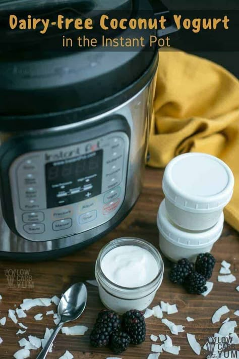 Dairy Free Yogurt Instant Pot, Dairy Free Yogurt Recipe, Coconut Yogurt Recipe, Dairy Substitutes, Instant Pot Yogurt, Dairy Free Snacks, Yogurt Recipe, Aip Diet, Dairy Free Yogurt