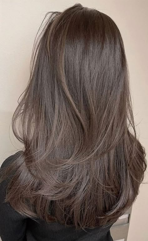 Medium Short Layers Haircut, Long Brown Hair Cuts With Layers, Soft Layers Brown Hair, Long U Shaped Layers, Dark Brown With Layers, Unlayered Hair, Hair Inspo Color Dark Brown, Asian Hair Brown, Chestnut Brown Layered Hair