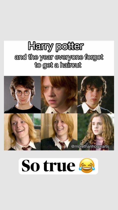 #memes Harry Potter Memes Funny So True, Funny Harry Potter Memes Hilarious, Harry Potter Memes Funny, Memes Funny Hilarious, Harry Potter Board, Funny Harry Potter Jokes, Harry Potter Memes Hilarious, Super Funny Memes, Funny Harry Potter