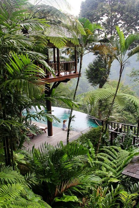 Pretty Garden Ideas, Como Shambhala Estate, Cool Backyard Ideas, Como Shambhala, Cool Backyard, Forest Hotel, Jungle Resort, Amazon Forest, Jungle House