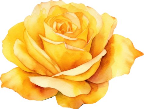 Yellow Rose Flower Watercolor. AI Generated Yellow Rose Watercolor, Yellow Roses Watercolor, Yellow Rose Drawing, Yellow Rose Painting, Yellow Rose, Yellow Rose Tattoos, Yellow Rose Flower, Rose Sketch, Rosé Png