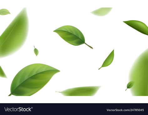 Leaf Png, Cloud Forest, Background 3d, Leaf Background, Green Leaf, Transparent Png, Green Leaves, High Res, Blur