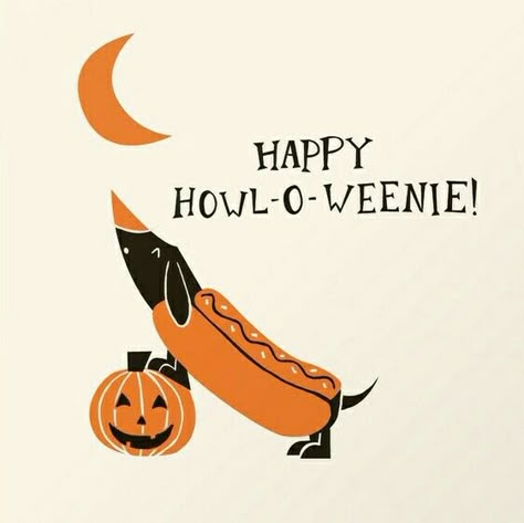 Halloween Weiner Dog, Daschund Illustration, Dachshund Halloween, Halloween Wallpaper Cute, Weiners, Dachshund Art, Weenie Dogs, Halloween Card, Dachshund Love