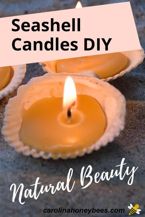 DIY Seashell Candles: Step by Step- Carolina Honeybees Diy Seashell Candles, Clam Shell Candle, Making Beeswax Candles, Tiny Candles, Seashell Candles, Candle Diy, Make Candles, Diy Candles Scented, Natural Beauty Diy