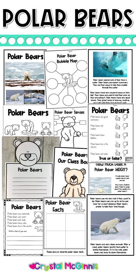 Penguins and Polar Bear Activities | Mrs. McGinnis' Little Zizzers Polar Bear Activities For Kindergarten, Polar Bears Kindergarten, Polar Bear Games, Polar Bear Activities, Polar Bears Preschool, Kindergarten Enrichment, Polar Bear Unit, Polar Bear Names, Polar Bears Activities