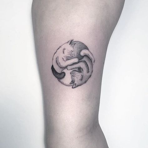 Kitty Cat Yang⚪️⚫️ #YingYang #DCMTattoos Ting Yang Cat Tattoo, Cat Circle Tattoo, Yin And Yang Cat Tattoo, Yin Yang Kitty Tattoo, Cats Ying Yang, Squirrel Tattoo, Ying Yang Tattoo, Animal Line Drawings, M Tattoos