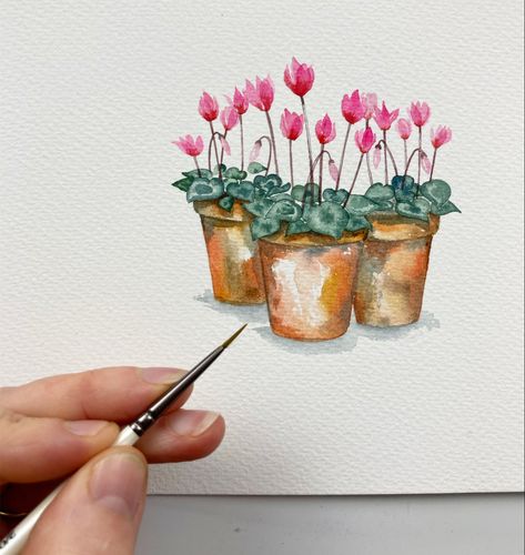 Cyclamen Watercolor Paintings, Watercolour Cyclamen, Cyclamen Drawing, Cyclamen Watercolor, Cyclamen Painting, Autumn Watercolour, Cyclamen Flower, Paint Autumn, Watercolour Nature