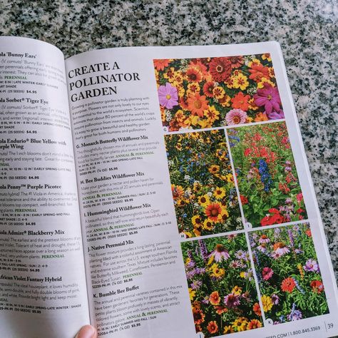 Best Free Seed Catalogs (Plus Bulbs and Plants!) - Bunny's Garden Saving Seeds From Vegetables, Seed Catalogs Vintage, Heirloom Seeds Catalog, Wildflower Seed Packets, Vintage Flower Seed Packets, Vegetable Seeds Packets, Catalog Printing, White Flower Farm, Spring Hill Nursery