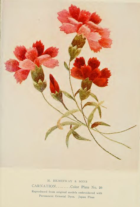 Carnation Embroidery from "A Treatise on Embroidery" published in 1907. Carnations Embroidery, Carnation Embroidery, Crewel Embroidery Kits, Learn Embroidery, Embroidery Flowers Pattern, Seed Stitch, Crewel Embroidery, Embroidery Needles, Hand Embroidery Designs