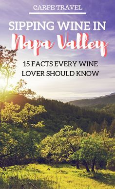 15 interesting facts about Napa Valley that every wine lover should know. Why you should head to Napa Valley, California, and sip wine asap! | Napa Valley wineries | Napa Valley wine tours | Napa Valley winery map #Winetasting #NapaValley - via @elainscho Napa Valley Wine Tours, Napa Valley Winery, Napa Winery, Wine Facts, Napa Wineries, Napa Valley Wineries, Wine Tourism, Napa Valley Wine, Wine Travel