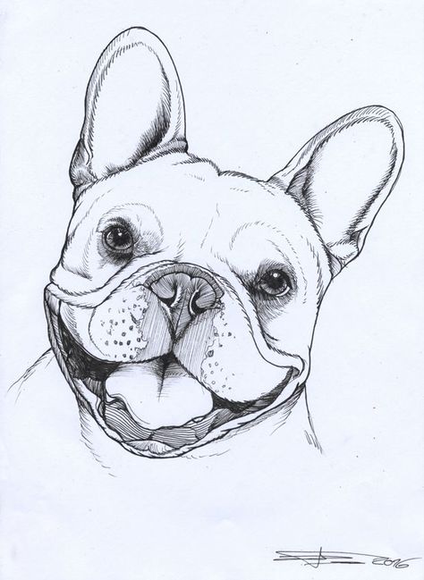 not-given Dog Drawing French Bulldog, Pet Drawing Ideas, How To Draw A Frenchie, Frenchie Dog Tattoo, French Bulldog Sketch Drawing, Frenchie Puppy Drawing, French Bulldog Portrait, How To Draw A French Bulldog, French Bulldog Drawing Easy