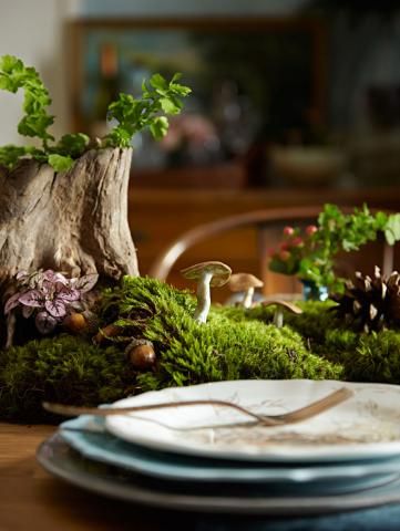 Sit down to a winter meal (and décor) inspired by yesteryear’s journeys into the forest to harvest seasonal feasts. Feast Table, Forest Feast, Fall Feast, Natural Holiday Decor, Mantel Decorating, Cranberry Chutney, Marinated Mushrooms, Shredded Brussel Sprouts, Midwest Living