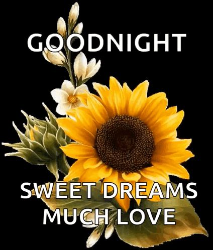 Good Night Sweet Dreams GIF - Good Night Sweet Dreams Sleep Well - Discover & Share GIFs Good Night Sweet Dreams Gif, Sweet Dreams Gif, Goodnight Blessings, Night Prayer, Good Night Messages, Good Night Sweet Dreams, Sleep Tight, Sleep Well, Inspirational Bible Verses