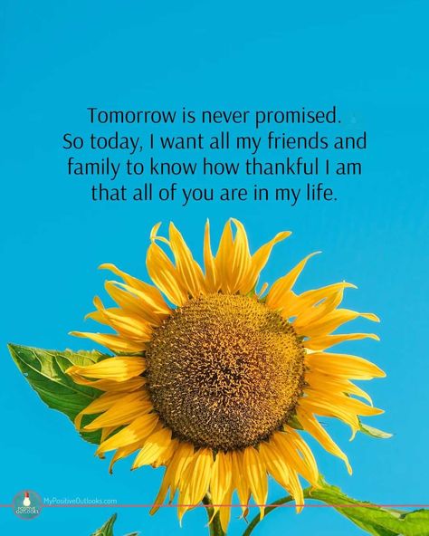 Tomorrow Is Never Promised, Positive Outlook, Friends Forever, Sunflower