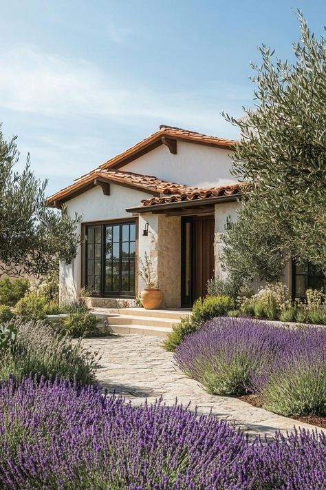 40 Brilliant Small Mediterranean Homes Mediterranean One Story Homes, Mediterranean Ranch House, Mediterranean Minimalist House, Modern Hacienda Exterior, Lavender Front Yard, Tuscan Mediterranean Homes, Half Circle Driveway Ideas, Single Story House Exterior, Olive Tree Front Yard