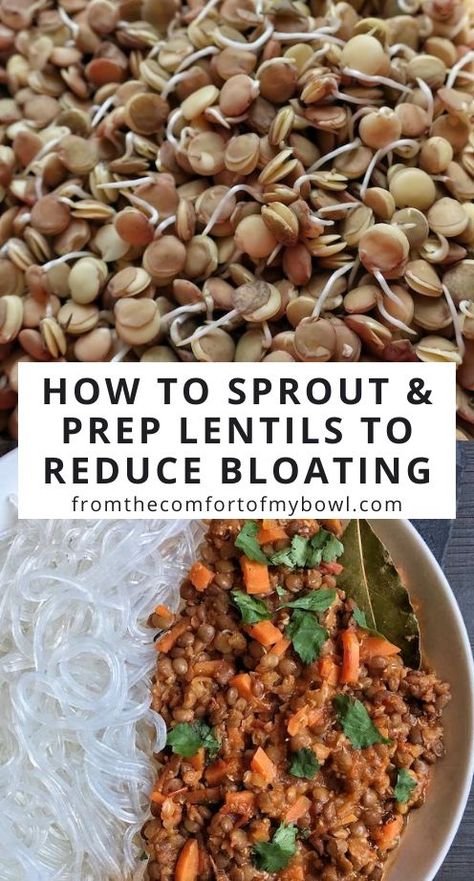 Sprouted Beans Recipes, How To Sprout Lentils, Svelte Recipes, Rotation Diet, Bean Sprout Recipes, Growing Sprouts, Meal Prep Tips, Healthy Vegan Recipes, Quick Vegan