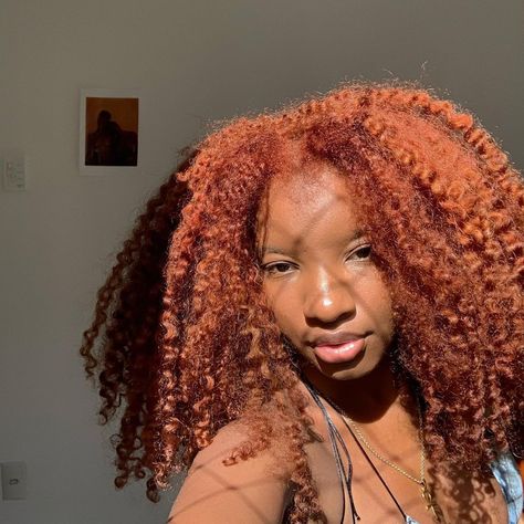 Copper Hair And Eyebrows Black Women, Copper Hair Color On 4c Hair, Auburn Hair Color On Natural Hair, Natural Hair Black Women Color, Ginger And Copper Hair Black Women, Burgundy Ginger Hair Black Women, Different Shades Of Ginger Hair Black Women, Brown Ginger Hair Black Women 4c, Ginger 4b Hair