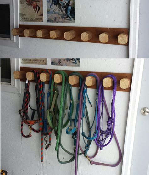 Bridal Racks Horse, Horse Halter Storage, Tack Shed Ideas, Bridle Racks, Tack Room Organization, Small Horse Barns, Horse Tack Rooms, Horse Farm Ideas, Barn Hacks