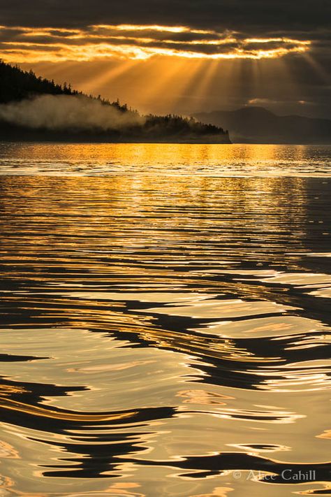 We had many gray and rainy days on our Alaska trip. But at the very end of one such day, the clouds opened just enough to allow golden sun rays to illuminate the water and the sky. I had both my cameras straped around my neck and alternated shooting between them for the few glorious moments of light. I think this is the best shot I took that evening. Sunset On Water, Alaska Trip, Matka Natura, Belle Nature, Golden Sun, Gold Aesthetic, Liquid Gold, Yellow Aesthetic, Sun Rays