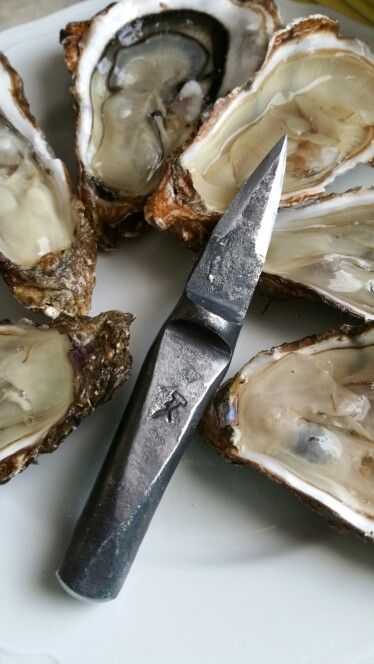 oyster knife, beautiful! Oyster Shucker, Diving Knife, Forging Knives, Oyster Knife, Cool Pocket Knives, Food Tool, Best Kitchen Knives, Knife Design, Metal Projects