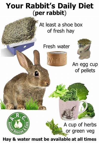 Bunny Farm Ideas, Bunny Snacks Rabbit Food, Bunny Treats Homemade, Vegetables For Rabbits, Bunny Sheds, Rabbit Breeding, Rabbit Enrichment, Rabbit Farming, Diy Bunny Toys