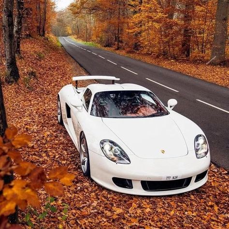 𝗖𝗔𝗥𝗦𝗞𝗘𝗘𝗡 on Instagram: "Rate This Beauty! Car: PORSCHE CARRERA GT Engine: 5.7L V10 Output: 612Bhp/590Nm TopSpeed: 330Kph/205Mph 0-60mph: 3.8sec 📸: @ccourjon Facts: The Porsche Carrera GT is the first production car to feature a monocoque chassis and engine/transmission mounts made of carbon-fibre-reinforced plastic (CFP), a design principle now registered by Porsche for a patent. Only carbon, a material carried over from aerospace applications, is able through an elaborate process of re Porsche Carrera Gt Gemballa Mirage, Carrera Gt, Porsche Carrera Gt, Marvel Images, Super Sport Cars, Power Cars, Cars And Coffee, Sport Car, Porsche Carrera