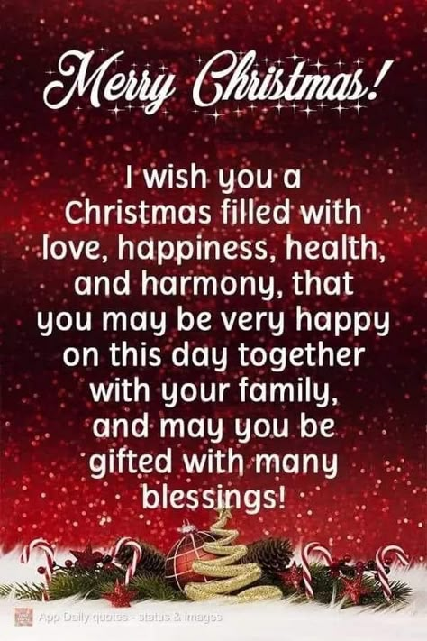 Wishing You All A Merry Christmas, Merry Christmas Everyone Quotes, Mery Crismas Ideas, Merry Christmas From My Family To Yours, Christmas Blessings Prayer Quotes, Merry Christmas Blessings Quotes, Merry Christmas Messages Quote, Have Yourself A Merry Little Christmas, Merry Christmas Sister Quotes