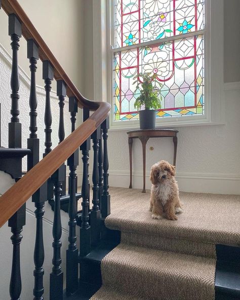 Sisal Stair Carpet, Stairway Makeover, Victorian Stairs, Dark Staircase, Stairway Carpet, Cottage Stairs, Staircase Renovation, Victorian House Interiors, Victorian Hallway