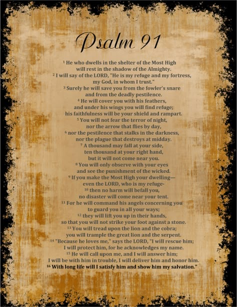 Pray Psalm 91 over your loved ones! How To Believe, Apostles Creed, Beautiful Sayings, Shadow Of The Almighty, Birthday Poems, Psalm 91, Moms Favorite, Favorite Bible Verses, Faith Inspiration