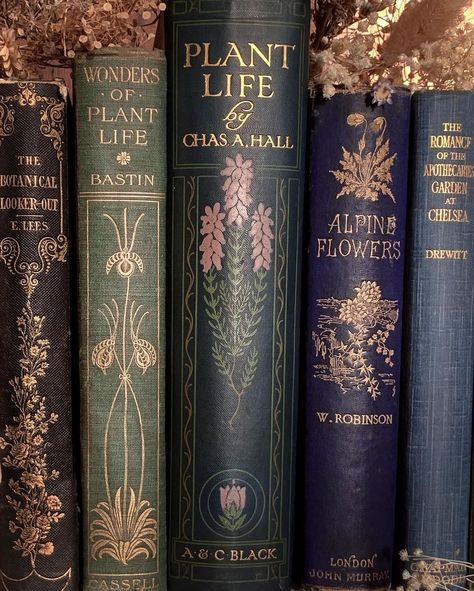 Book Rebinding, Ornate Books, Book Spines, Alpine Flowers, Victorian Books, Spring Books, Library Aesthetic, Vintage Library, Book Spine