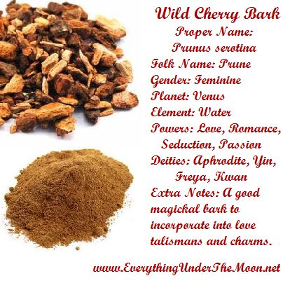 Wild Cherry Bark Charms Witchcraft, Flower Symbolism, Witchcraft Love Spells, Cherry Bark, Magickal Herbs, Witch Herbs, My Granny, Witchcraft Spells, Witch Stuff