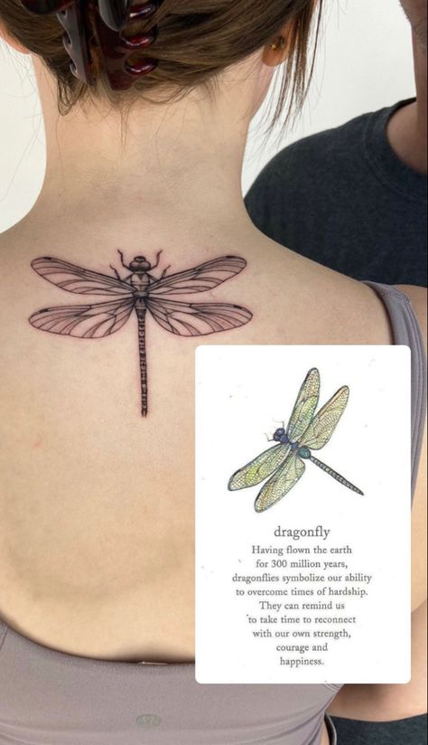 tattoo: dragonfly, wings, flying, nostaligic, meaningful, simple, line drawing Dragonfly Tattoo Thick Lines, Dragonfly Back Tattoo Women Spine, Dragonfly Elbow Tattoo, Linework Dragonfly Tattoo, Line Art Dragonfly Tattoo, Dragon Fly Line Tattoo, Aesthetic Dragonfly Tattoo, Dragonfly Tattoo On Leg, Dragonfly Spine Tattoos For Women