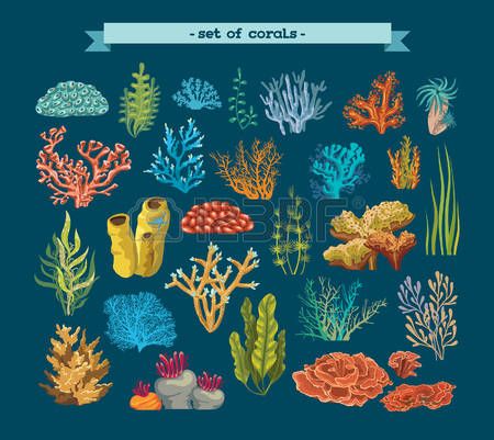 Coral Reef Art, Underwater Cartoon, Ocean Plants, Underwater Plants, Mermaid Photography, Underwater Painting, Sea Plants, Coral Art, Underwater Scene