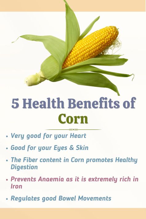 Health Benefits of Corn Corn Benefits, Health Benefits Of Corn, Corn Health Benefits, Fat Animals, Improve Heart Health, Nutrient Deficiency, Corn On The Cob, Plant Based Milk, Healthy Digestion