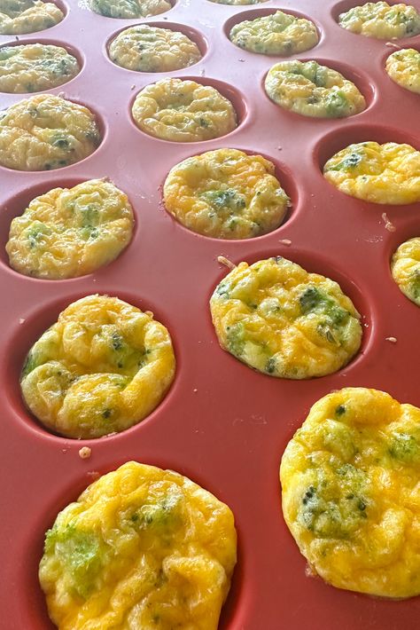 Broccoli Egg Bites - Feeding Tiny Bellies Egg Bites For 10 Month Old, Egg Bites With Peppers, Brocolli Egg Bites, Egg Bites Blw, Broccoli Egg Bites Baby, Broccoli Blw Recipes, Blw Egg Bites, Egg Bites Toddler, Egg Bites Baby Led Weaning