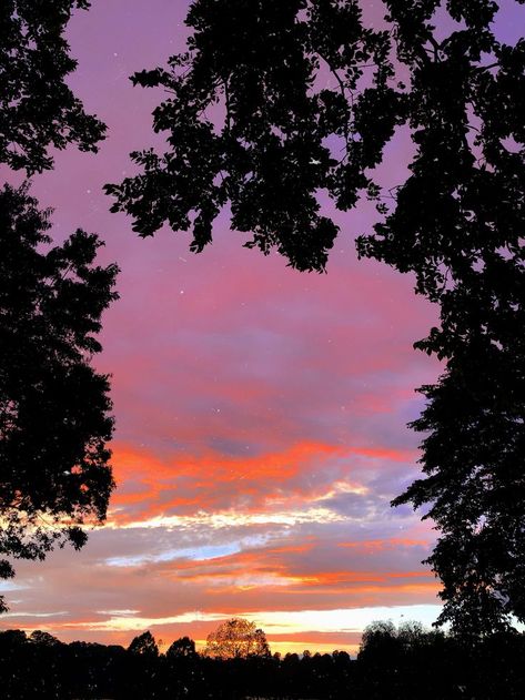 Tennessee Sunset, Sky Adventure, Sunset Today, Nice Places, Sky Pictures, Sunset Sky, Tennessee, The Good Place, Celestial Bodies