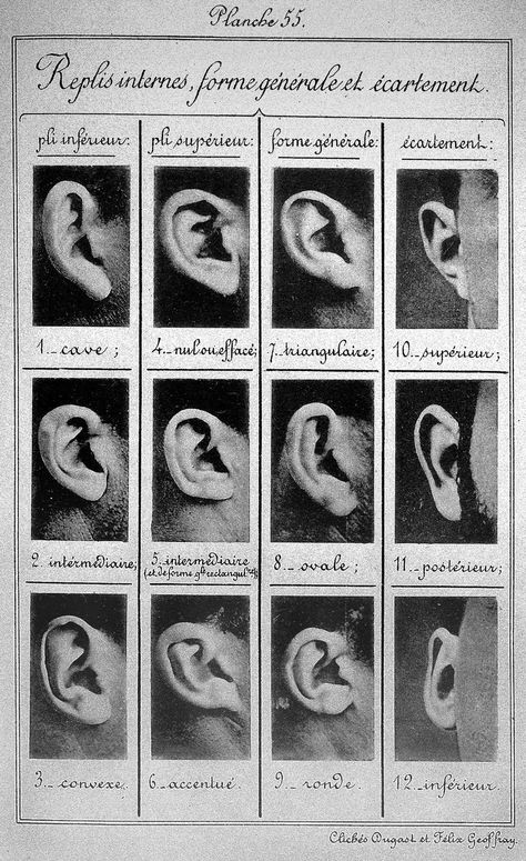 Man who invented the mug shot: The ground-breaking work of Alphonse Bertillon - Science - News - The Independent 얼굴 드로잉, Arte Peculiar, Anatomy Study, Art Instructions, Anatomy Reference, Human Anatomy, Character Design References, Malbec, Life Drawing