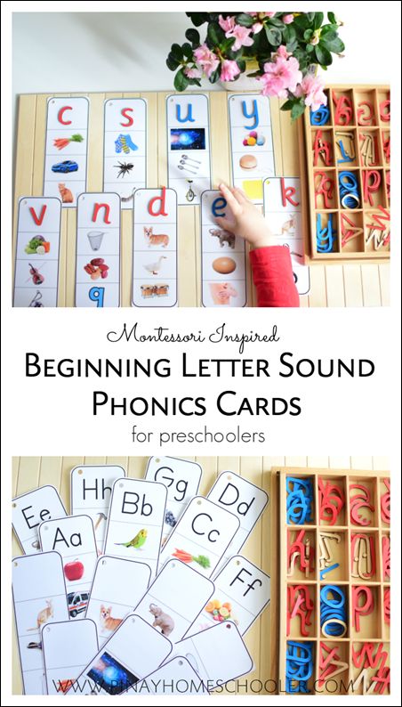 beginning letter phonics cards and activities for preschoolers Montessori 3 Part Cards, Montessori Phonics, Children's House, Phonics Cards, Phonics Flashcards, Preschool Language, Montessori Lessons, Baby Montessori, Montessori Homeschool